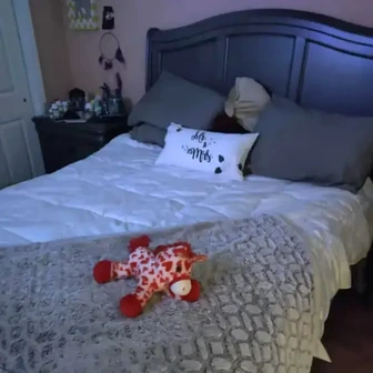Sophia M.'s bed with Miracle Sheets